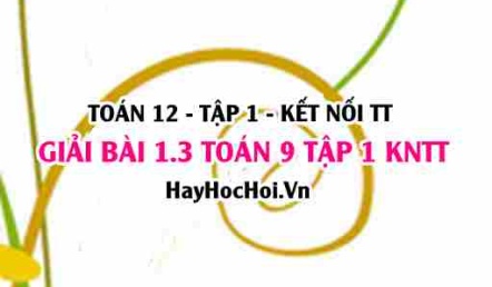 Bài 1.3 Toán 12 tập 1 SGK Kết nối tri thức